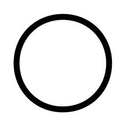 Chlorinator Lid O-Ring Viton