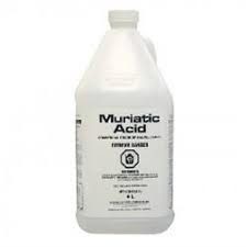Muriatic Acid 4L Jug