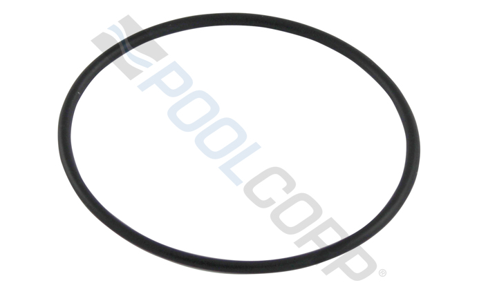 2in Union O-Ring for AquaPure® Water Sanitizer Unions