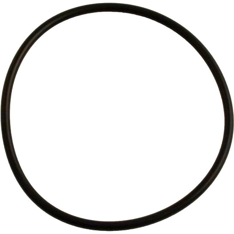 Strainer O-Ring (Replaces 47035209R)