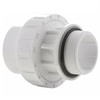 2IN Union Mpt X SLIP w/ O-ring